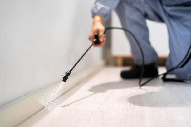 Licensed Termite Control service in Sunny Isles Beach, FL - Show Me Pest Control